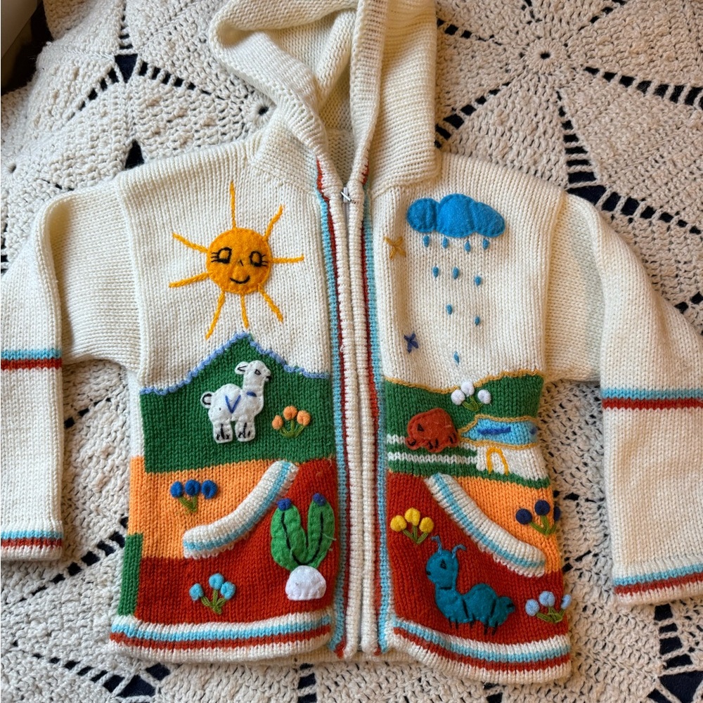4-5t Colorful Knit Peruvian Children's Hoodie with embroidered Nature Designs
